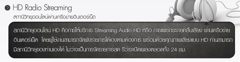 ช่องสัญญาณวิทยุ