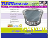 telewiz_n3.jpg (8460 bytes)