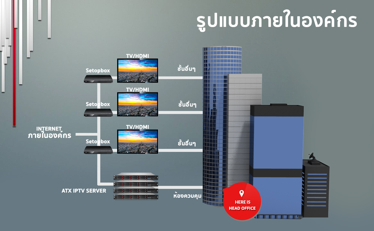 banner-image