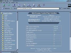 cpanel.gif (20825 bytes)
